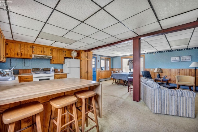 1270 Deist Rd, Middle Bass Island, OH 43446 - kitchen featuring white appliances, light colored carpet, a baseboard radiator, under cabinet range hood, and open floor plan