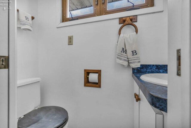 1270 Deist Rd, Middle Bass Island, OH 43446 - bathroom featuring toilet, vanity, and a healthy amount of sunlight