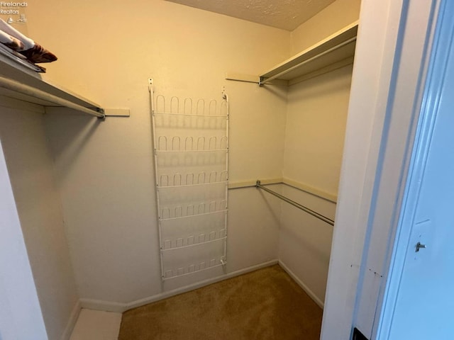 walk in closet featuring carpet floors