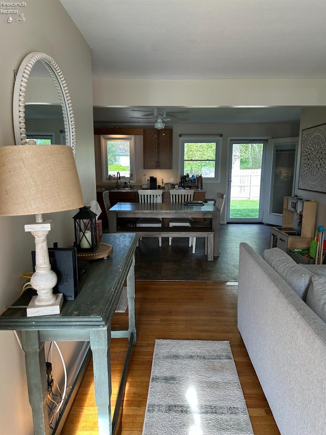living area with ceiling fan, plenty of natural light, and wood finished floors