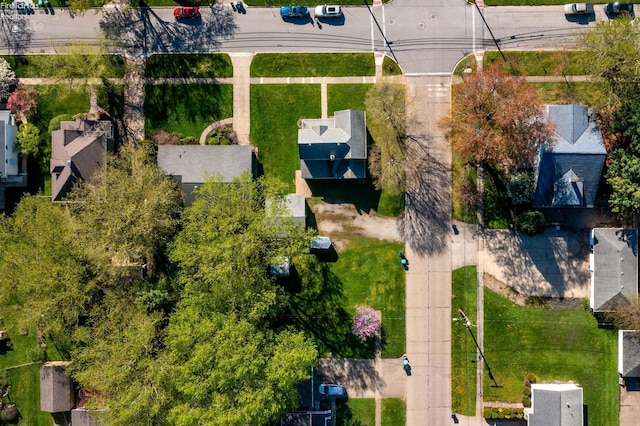 drone / aerial view