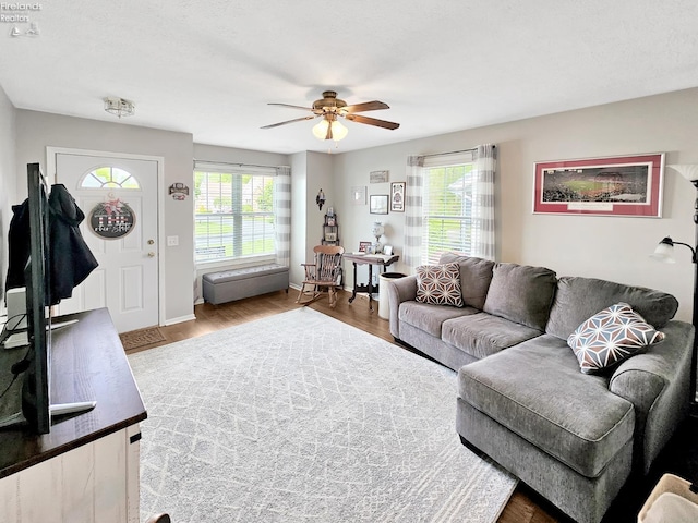173 Excalibur Dr, Clyde, OH 43410 - living room with ceiling fan, healthy amount of natural light, wood finished floors, and baseboards