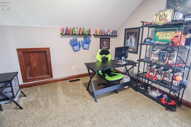 9117 W Mason Rd, Castalia, OH 44824 - carpeted office featuring baseboards and lofted ceiling