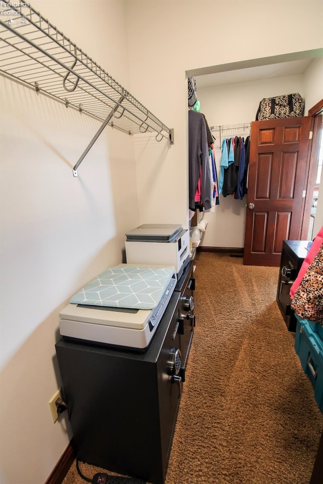 9117 W Mason Rd, Castalia, OH 44824 - walk in closet featuring carpet floors