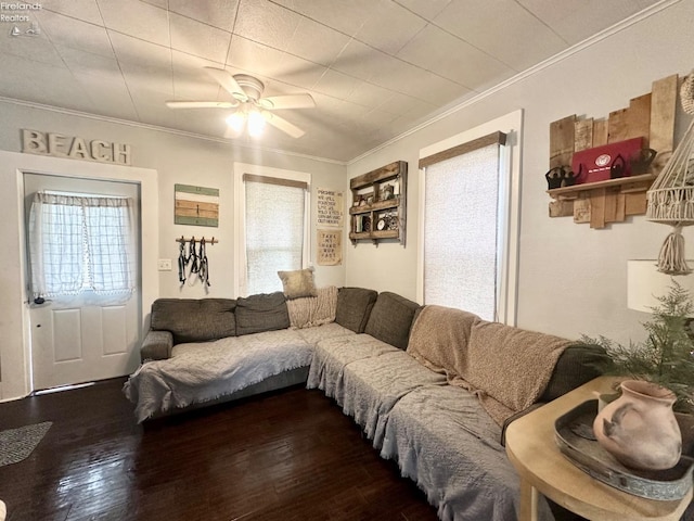 living room with ornamental molding, a ceiling fan, and dark wood-type flooring