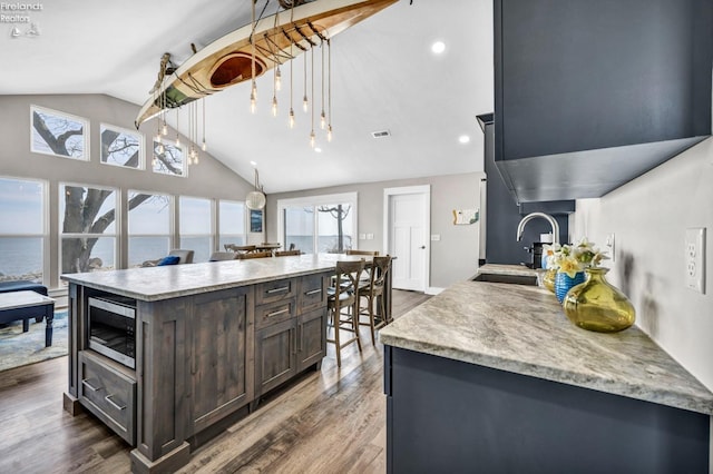 104 E Point Dr, Kelleys Island, OH 43438 - kitchen featuring lofted ceiling, dark brown cabinetry, dark wood-style floors, stainless steel microwave, and a sink