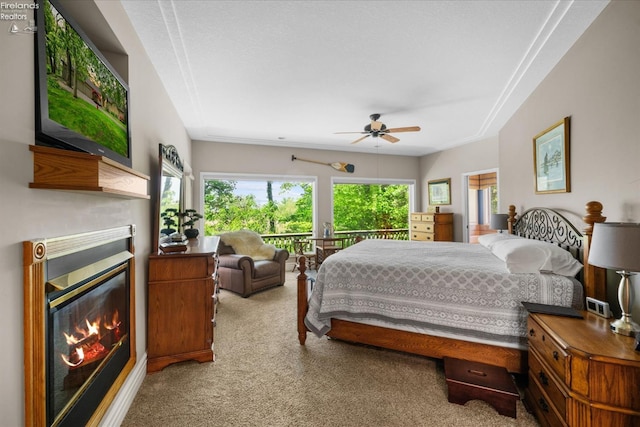 3535 E High Point Ln, Port Clinton, OH 43452 - bedroom featuring carpet flooring, multiple windows, and a glass covered fireplace