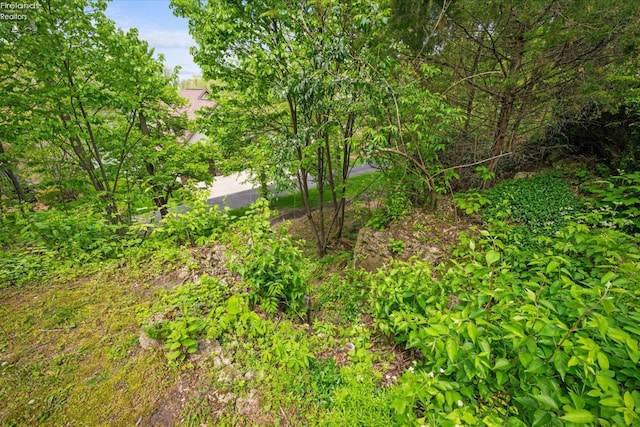 3535 E High Point Ln, Port Clinton, OH 43452 - view of yard