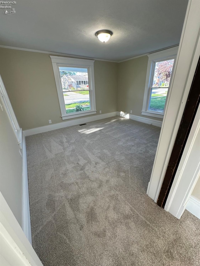 141 Main St, Castalia, OH 44824 - spare room with a textured ceiling, baseboards, visible vents, crown molding, and carpet floors