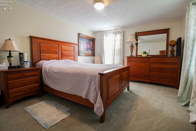 20 Chippewa Dr, Milan, OH 44846 - bedroom with light colored carpet