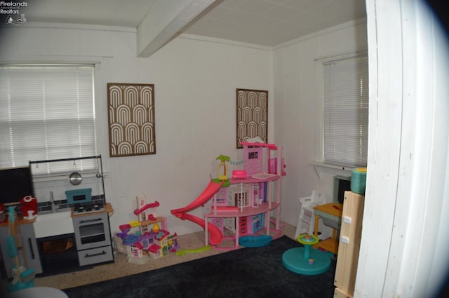 113 W Tiffin St, Attica, OH 44807 - rec room with beamed ceiling