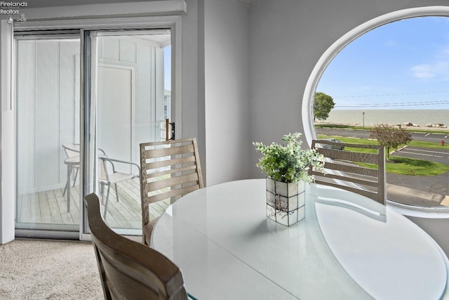 264 Clinton Reef Dr, Port Clinton, OH 43452 - dining room with a water view