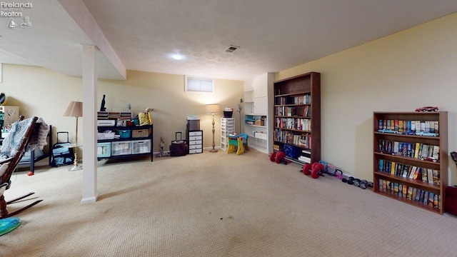 66 Hillcrest Dr, Willard, OH 44890 - finished basement with carpet floors