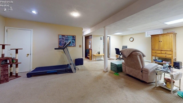 66 Hillcrest Dr, Willard, OH 44890 - exercise area featuring carpet and recessed lighting