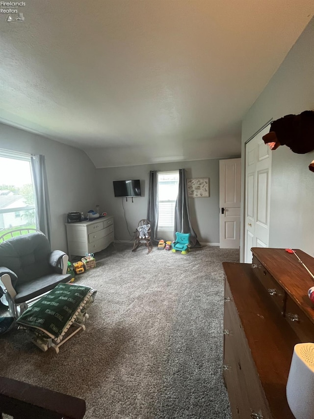 81 Melissa St, Tiffin, OH 44883 - rec room with carpet flooring and vaulted ceiling