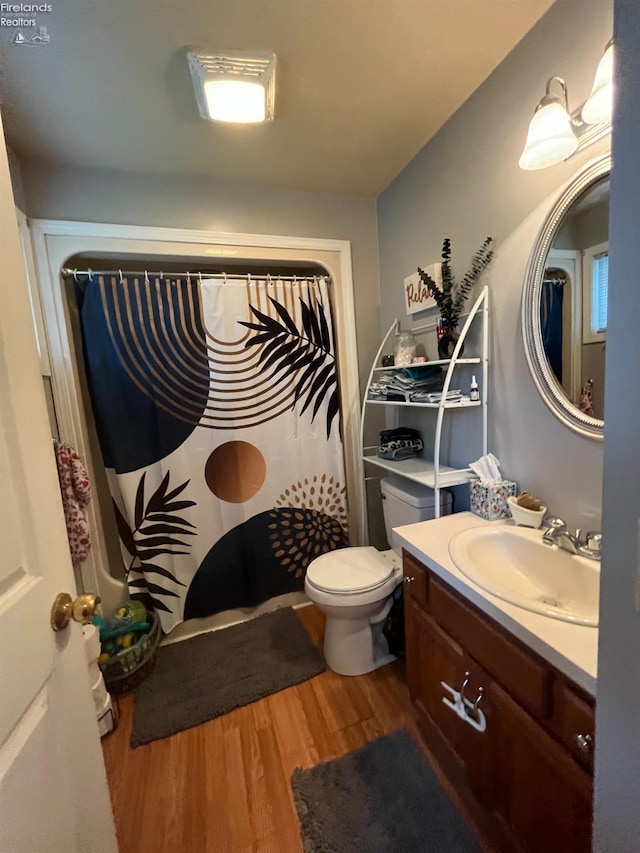 81 Melissa St, Tiffin, OH 44883 - bathroom with wood finished floors, vanity, toilet, and a shower with curtain