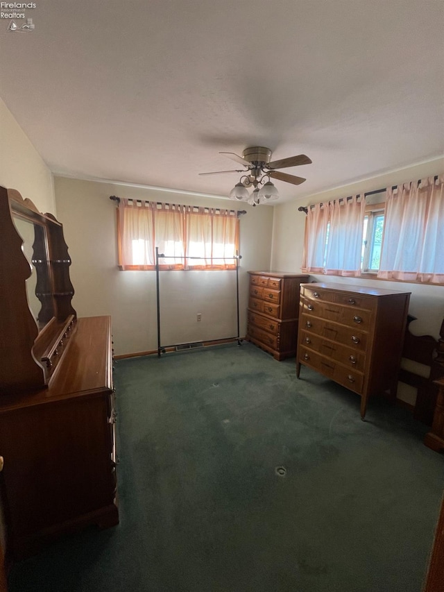 5 Old State Rd, Norwalk, OH 44857 - unfurnished bedroom with multiple windows, carpet, and ceiling fan