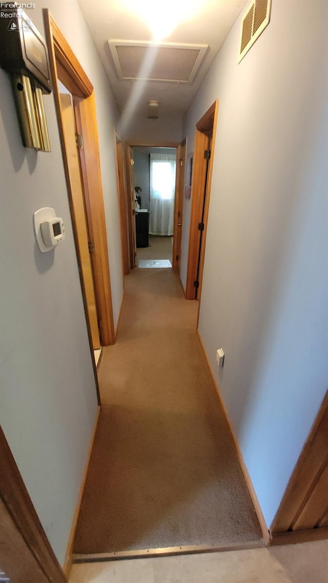 903 N Warpole, Upper Sandusky, OH 43351 - hallway with light colored carpet