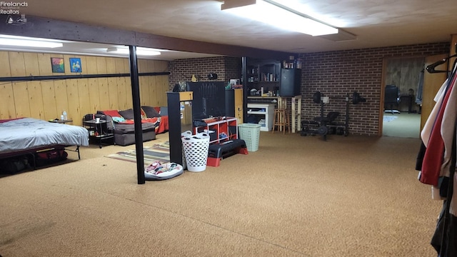 903 N Warpole, Upper Sandusky, OH 43351 - finished below grade area featuring carpet flooring, brick wall, and wooden walls