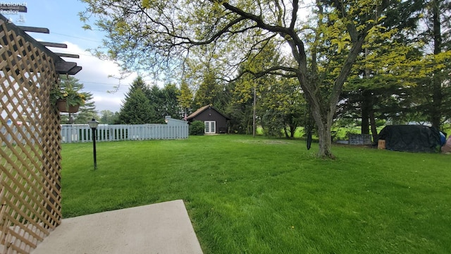 903 N Warpole, Upper Sandusky, OH 43351 - view of yard