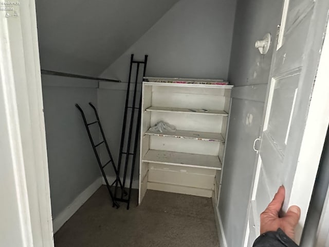 515 W Osborne St, Sandusky, OH 44870 - spacious closet with lofted ceiling
