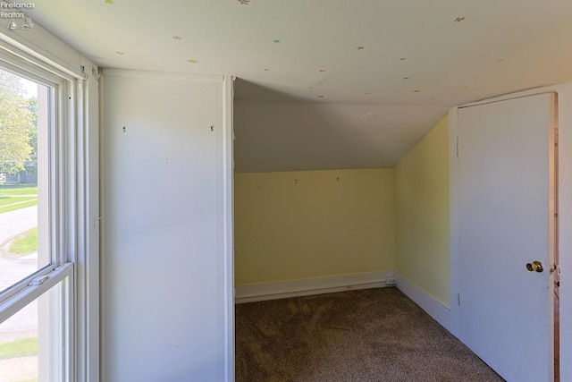 additional living space featuring carpet floors, vaulted ceiling, and baseboards