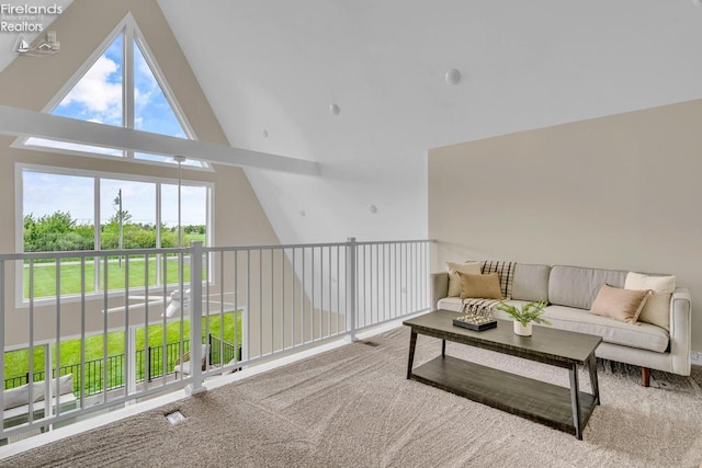 1861 N Opfer Lentz Rd, Martin, OH 43445 - carpeted living area featuring high vaulted ceiling