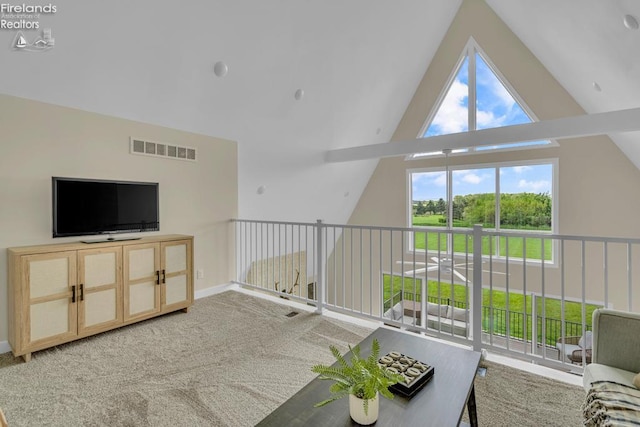 1861 N Opfer Lentz Rd, Martin, OH 43445 - living area with high vaulted ceiling and carpet flooring