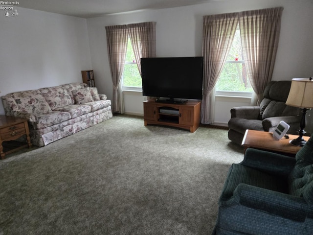 29 Scheiber St, Tiffin, OH 44883 - carpeted living room with plenty of natural light