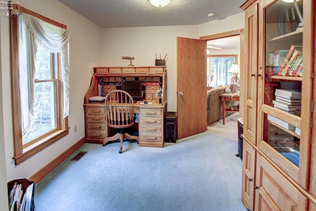 914 Wood Glen Ct, Norwalk, OH 44857 - home office featuring carpet, a textured ceiling, and baseboards