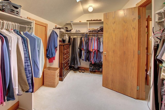 914 Wood Glen Ct, Norwalk, OH 44857 - walk in closet with lofted ceiling and carpet floors
