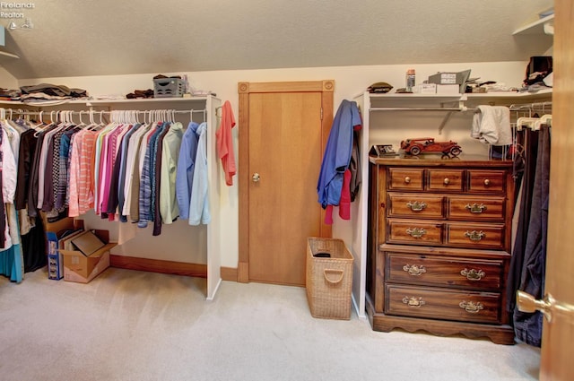914 Wood Glen Ct, Norwalk, OH 44857 - spacious closet featuring carpet floors