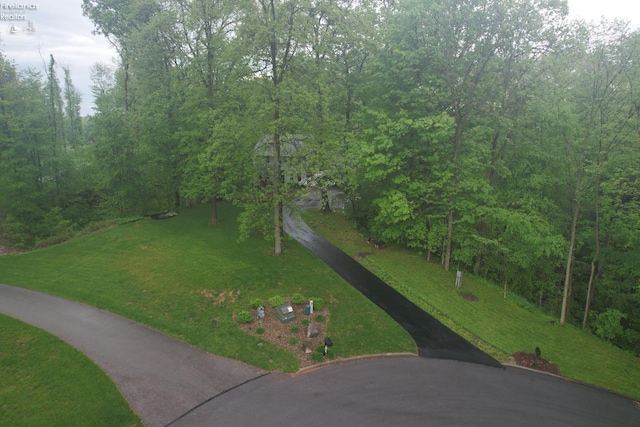 914 Wood Glen Ct, Norwalk, OH 44857 - view of property's community featuring a lawn