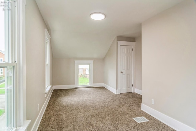 509 College Ave, Fostoria, OH 44830 - additional living space featuring carpet, baseboards, and lofted ceiling