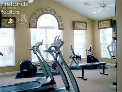2780 Canterbury Ln Unit A, Port Clinton, OH 43452 - workout area with plenty of natural light, lofted ceiling, baseboards, and a ceiling fan