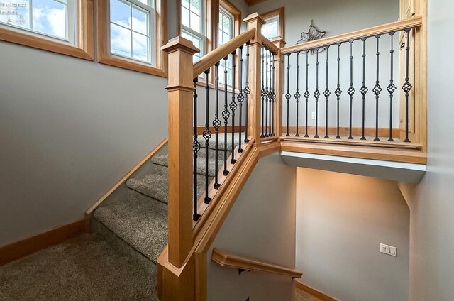 5475 E Mabel Dr, Port Clinton, OH 43452 - stairway with baseboards and carpet floors