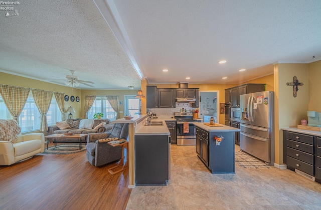 8896 White Crane Way, Oak Harbor, OH 43449 - kitchen with stainless steel appliances, a sink, open floor plan, light countertops, and a ceiling fan