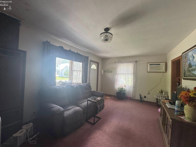 1168 Platt St, Martin, OH 43445 - carpeted living room with a wall mounted air conditioner and a textured ceiling