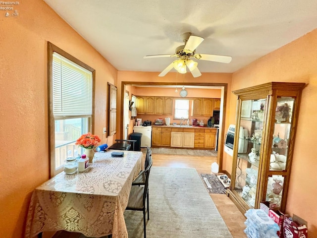 1168 Platt St, Martin, OH 43445 - kitchen featuring a sink, light countertops, ceiling fan, a textured wall, and light wood-style floors