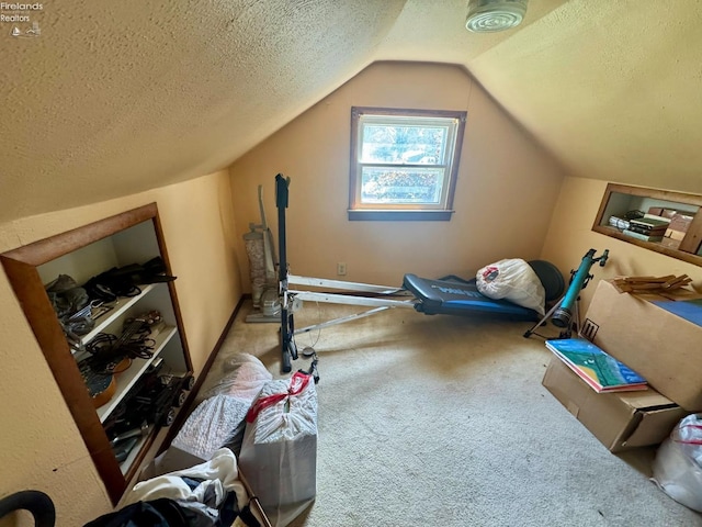 1168 Platt St, Martin, OH 43445 - additional living space featuring a textured ceiling, carpet floors, vaulted ceiling, and baseboards