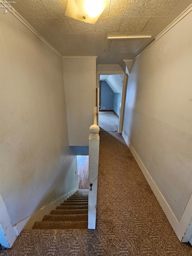 202 Duane St, Clyde, OH 43410 - stairs with carpet flooring
