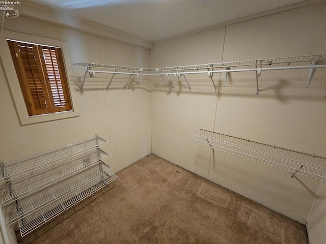 202 Duane St, Clyde, OH 43410 - walk in closet with carpet flooring