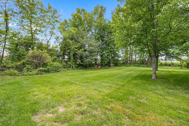 3960 Everingin Rd, Monroeville, OH 44847 - view of grassy yard