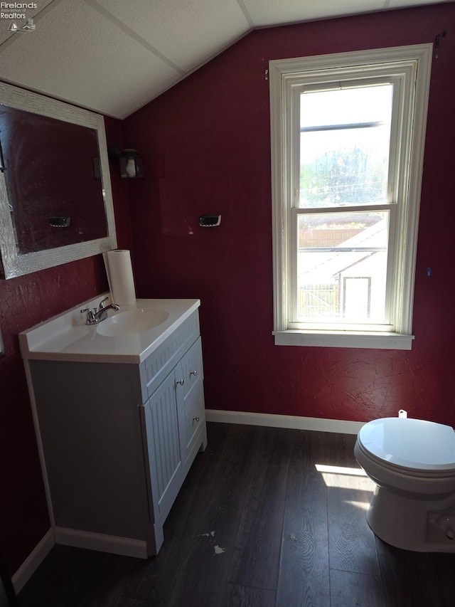 91 1st Ave, Tiffin, OH 44883 - half bath with vaulted ceiling, healthy amount of natural light, hardwood / wood-style flooring, vanity, and toilet