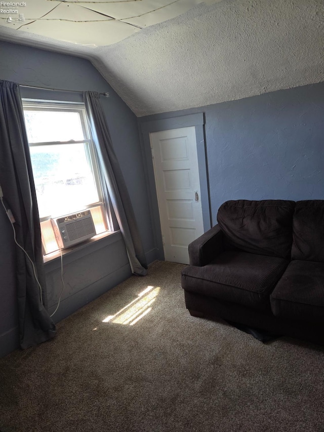 91 1st Ave, Tiffin, OH 44883 - living room featuring lofted ceiling, carpet, and cooling unit