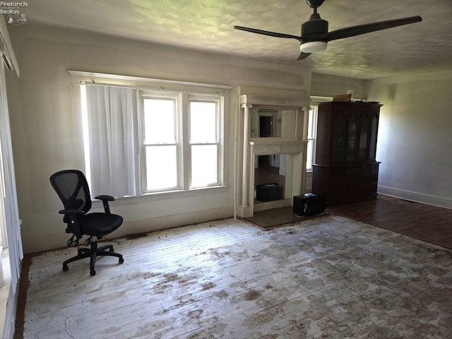 91 1st Ave, Tiffin, OH 44883 - unfurnished living room featuring ceiling fan, hardwood / wood-style floors, and baseboards
