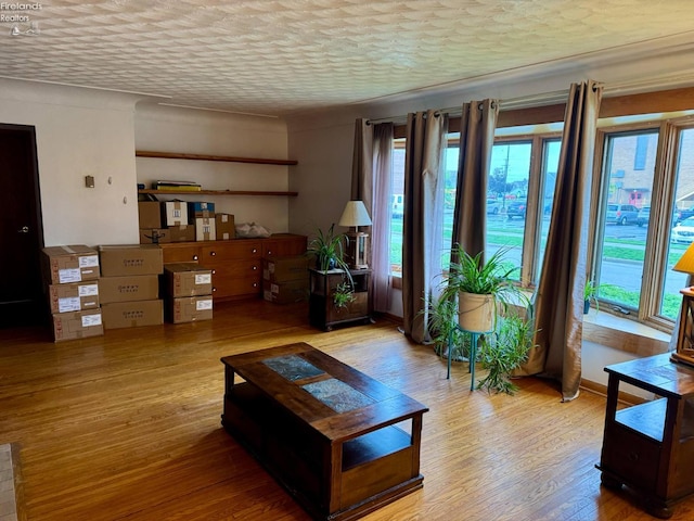 104 N Wood St, Fremont, OH 43420 - living room with wood finished floors