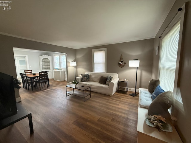118 E 5th St, Port Clinton, OH 43452 - living room with crown molding, dark wood finished floors, and baseboards