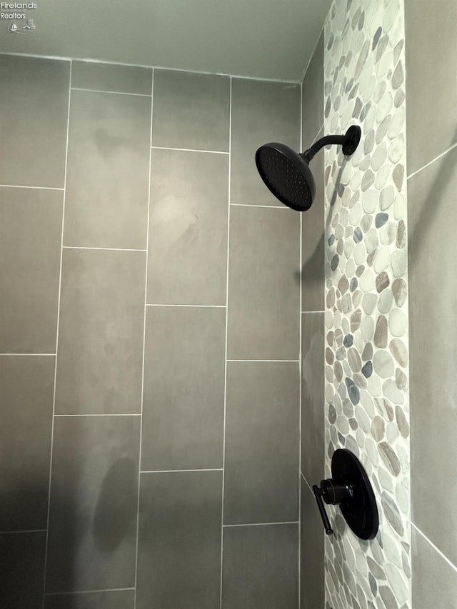 118 E 5th St, Port Clinton, OH 43452 - bathroom view of a tile shower