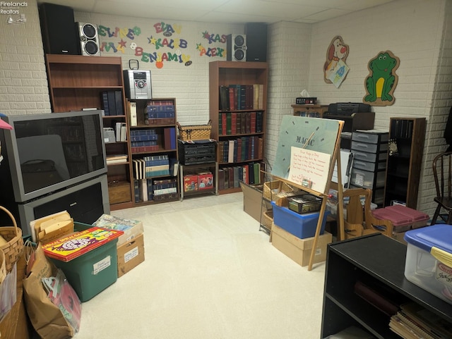 508 Snowy Egret Dr, Huron, OH 44839 - recreation room with brick wall and a paneled ceiling